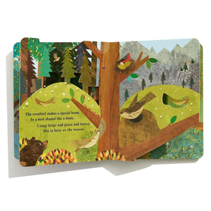 Home: A Peek-Through Board Book