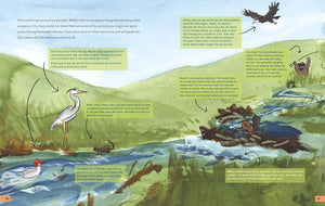 The Fly Fishing Book