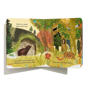 Home: A Peek-Through Board Book