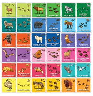 Jr. Ranger Animal Track Matching Game