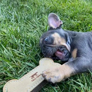 Tall Tails Natural Leather & Wool Bone Toy