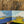 Duck Hunt Book