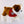Hocha Bulldog
