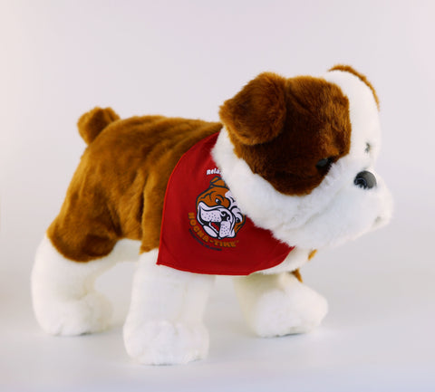 Hocha Bulldog