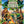 Jr. Ranger Campfire Stories