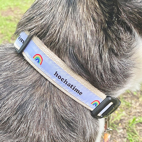 Hochatime Dog Collars