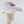 Pink Patch Treetop Hat