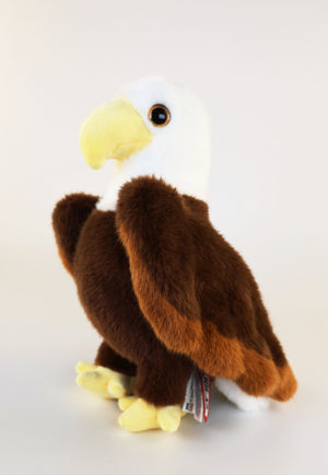 Windy Eagle