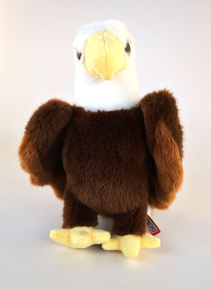 Windy Eagle