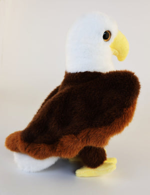 Windy Eagle