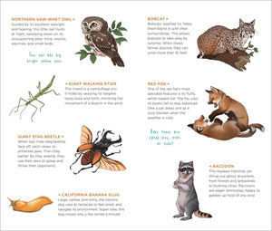 Wild, Wonderful Tattoo Woodland Animals
