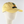 Woodsy Owl Ballpark Hat