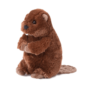 Buddy Beaver