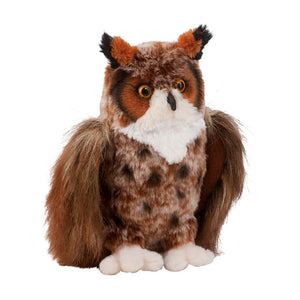 Einstein Great Horned Owl